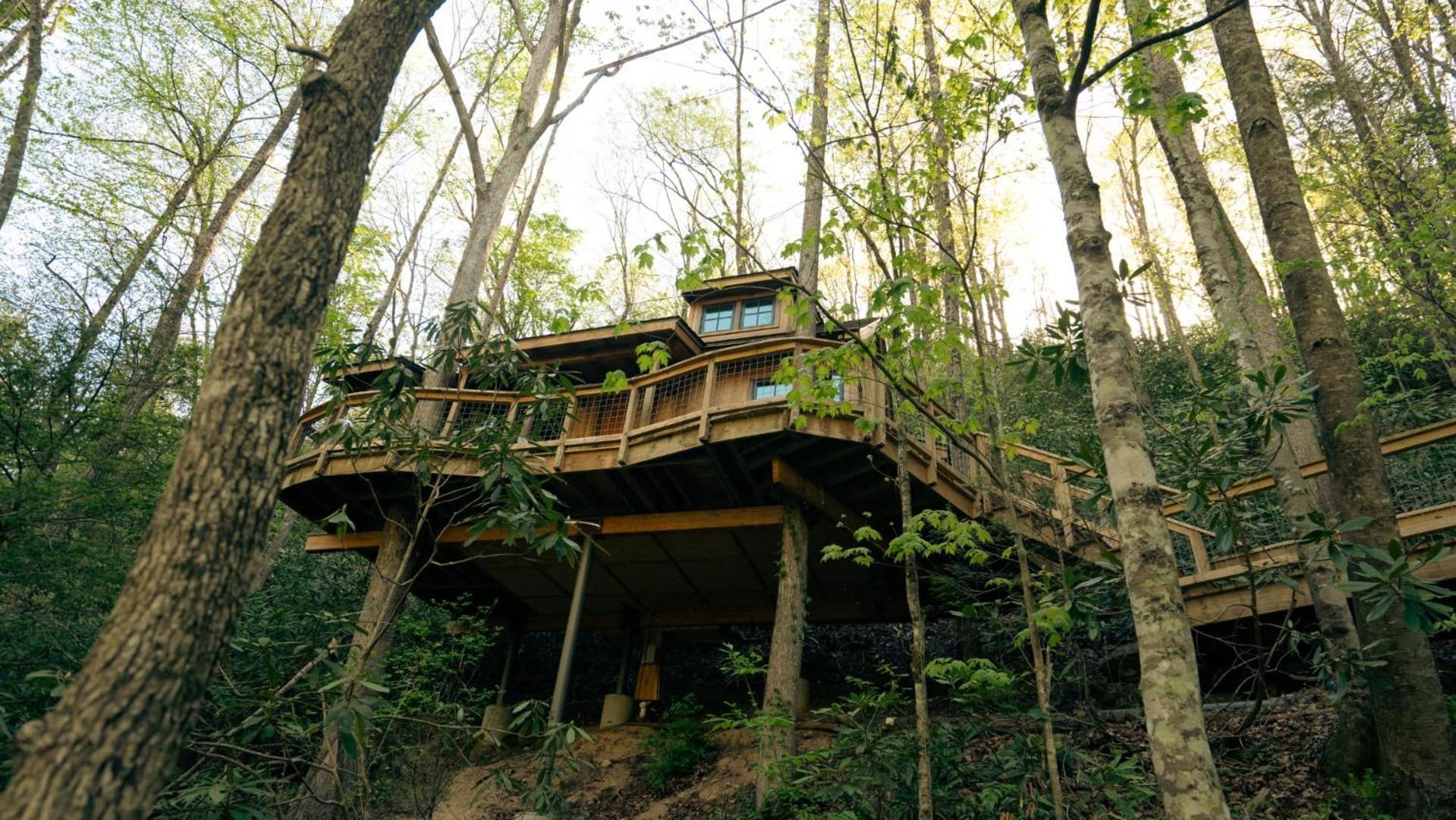 The Dogwood In Treehouse Grove At Norton Creek Villa Gatlinburg Kültér fotó