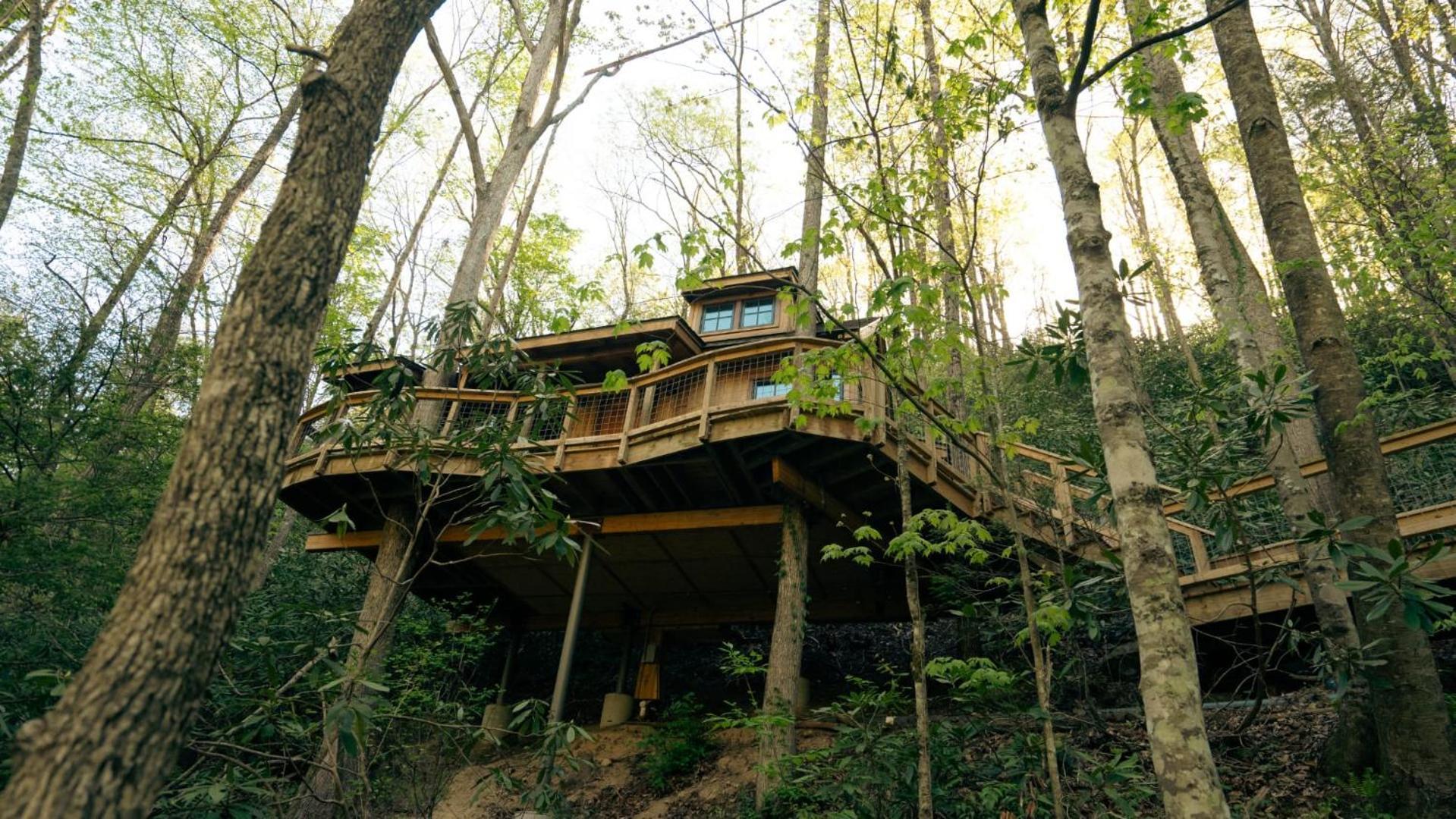 The Dogwood In Treehouse Grove At Norton Creek Villa Gatlinburg Kültér fotó